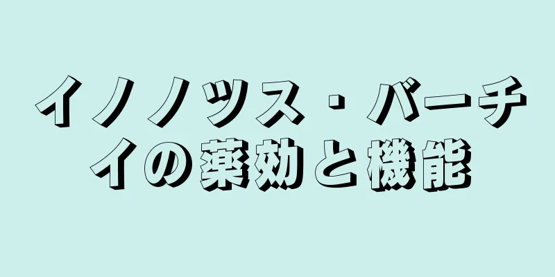イノノツス・バーチイの薬効と機能