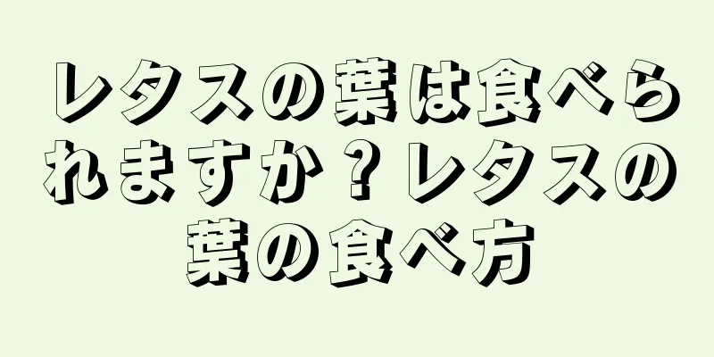 レタスの葉は食べられますか？レタスの葉の食べ方