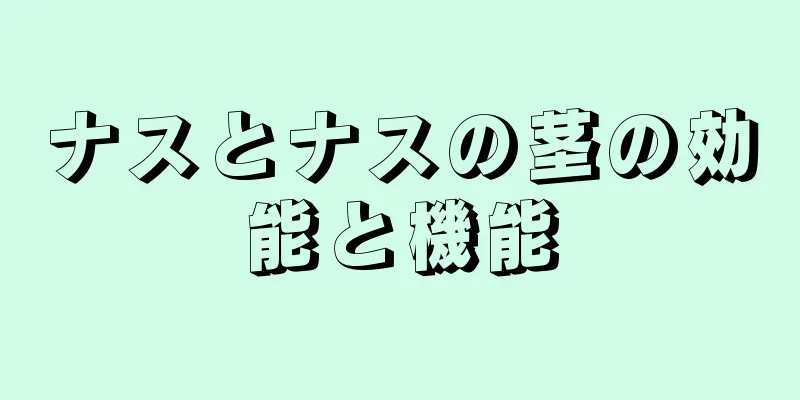 ナスとナスの茎の効能と機能
