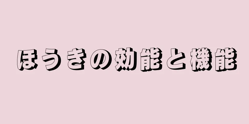 ほうきの効能と機能
