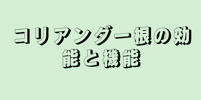 コリアンダー根の効能と機能