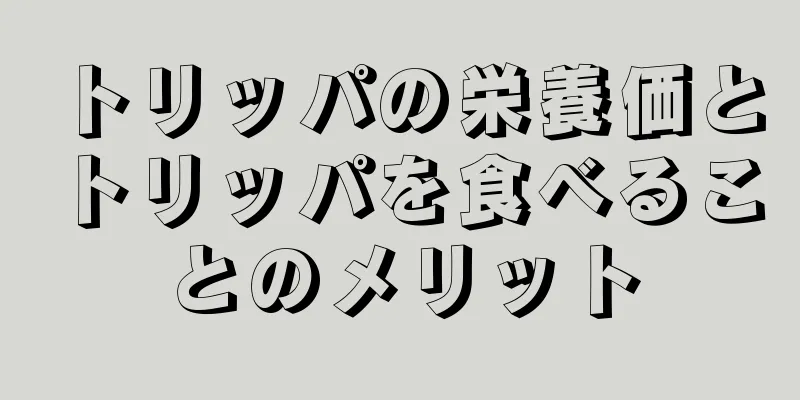 トリッパの栄養価とトリッパを食べることのメリット