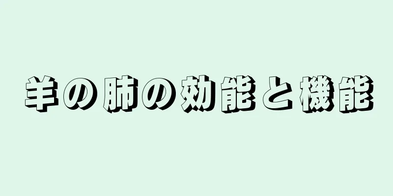 羊の肺の効能と機能