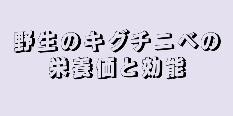 野生のキグチニベの栄養価と効能