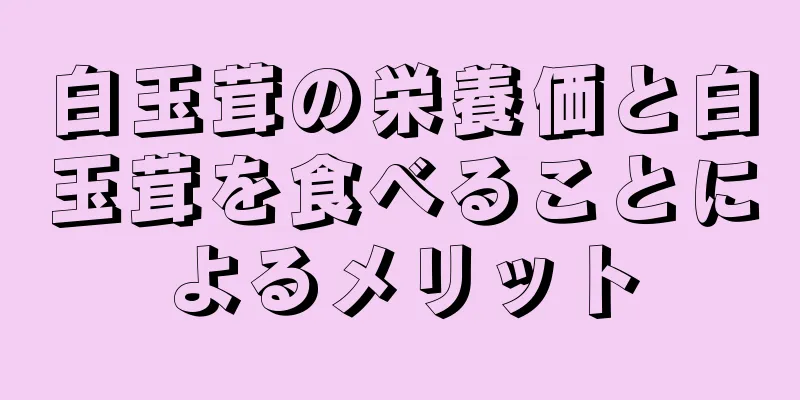 白玉茸の栄養価と白玉茸を食べることによるメリット