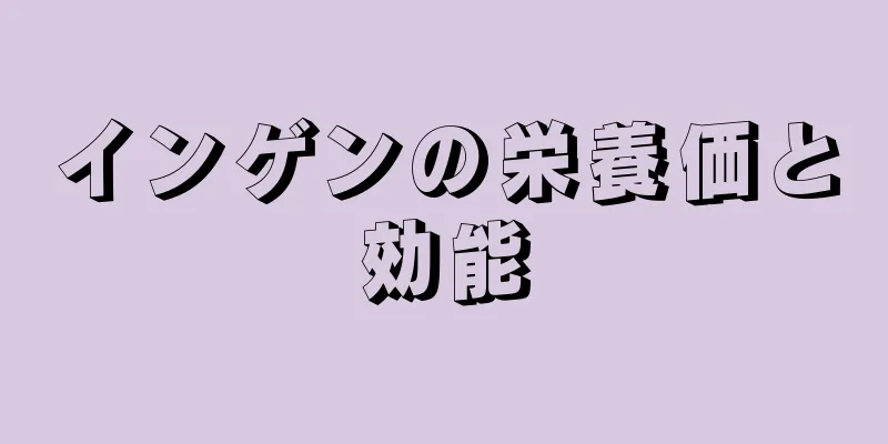 インゲンの栄養価と効能