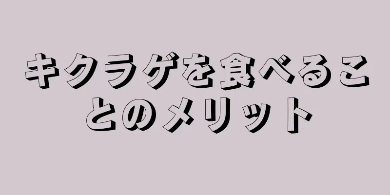キクラゲを食べることのメリット