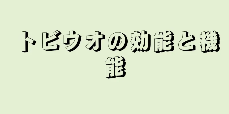 トビウオの効能と機能