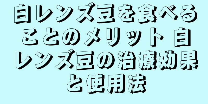 白レンズ豆を食べることのメリット 白レンズ豆の治療効果と使用法
