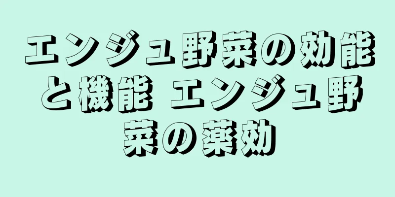 エンジュ野菜の効能と機能 エンジュ野菜の薬効