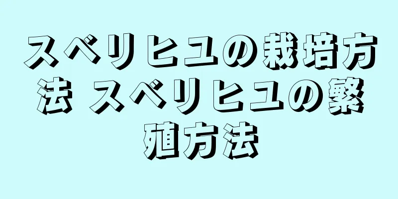 スベリヒユの栽培方法 スベリヒユの繁殖方法