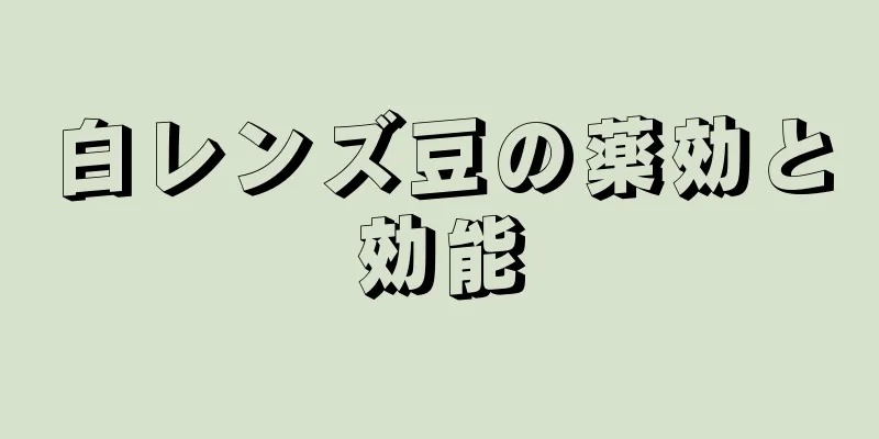 白レンズ豆の薬効と効能