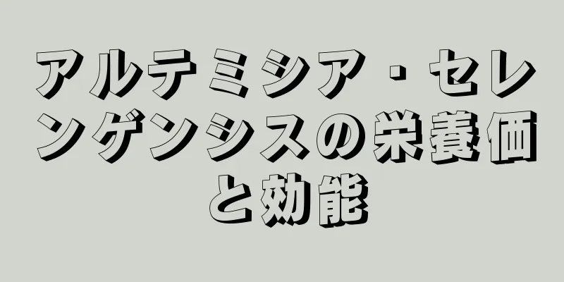 アルテミシア・セレンゲンシスの栄養価と効能