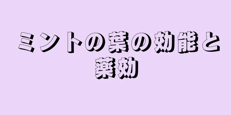 ミントの葉の効能と薬効