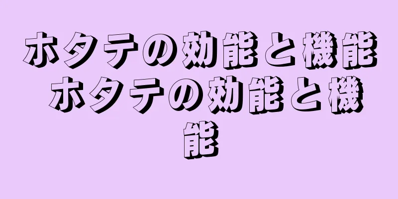 ホタテの効能と機能 ホタテの効能と機能