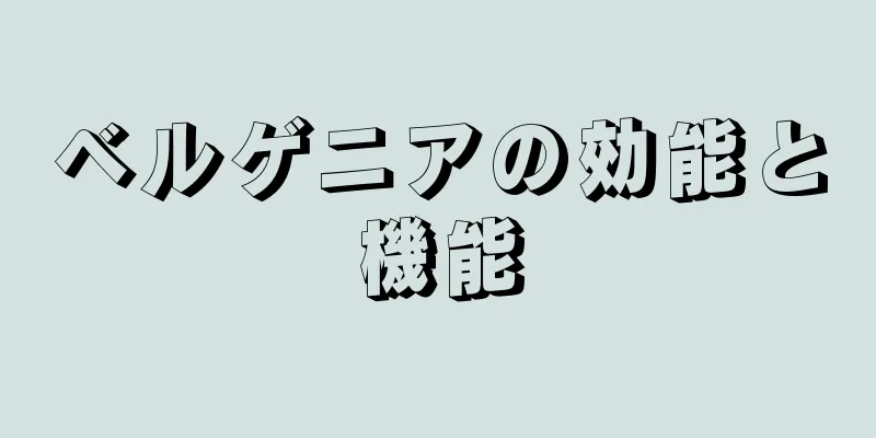 ベルゲニアの効能と機能