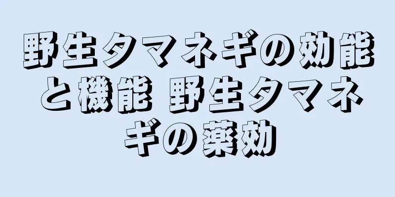 野生タマネギの効能と機能 野生タマネギの薬効