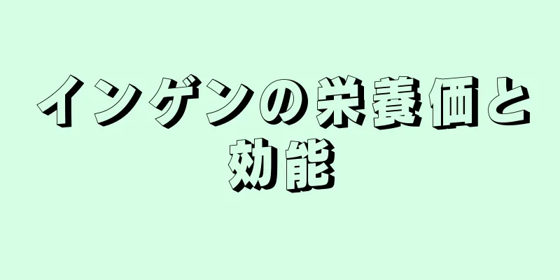 インゲンの栄養価と効能