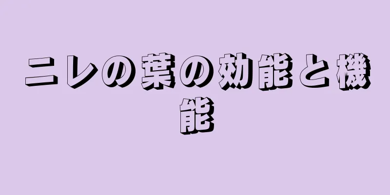ニレの葉の効能と機能