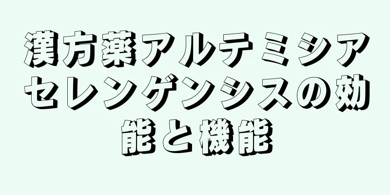 漢方薬アルテミシアセレンゲンシスの効能と機能