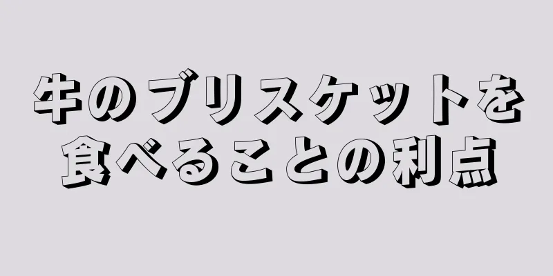 牛のブリスケットを食べることの利点