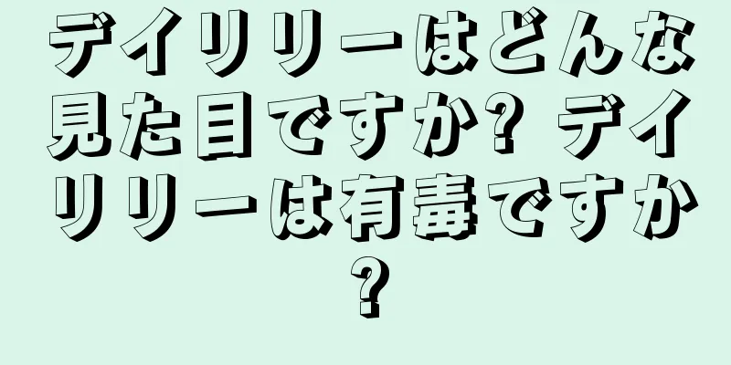 デイリリーはどんな見た目ですか? デイリリーは有毒ですか?