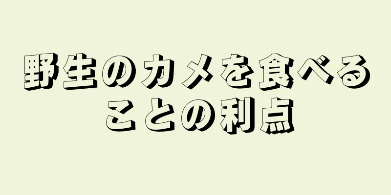 野生のカメを食べることの利点