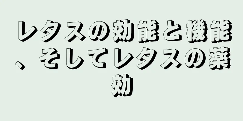 レタスの効能と機能、そしてレタスの薬効