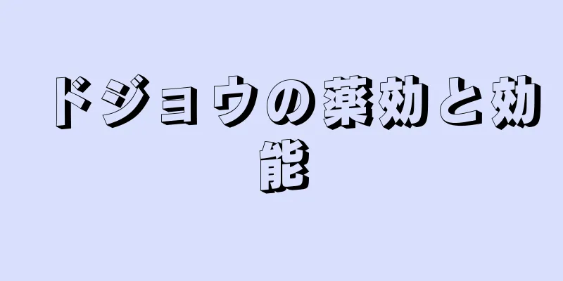 ドジョウの薬効と効能