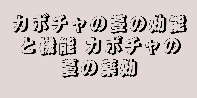 カボチャの蔓の効能と機能 カボチャの蔓の薬効