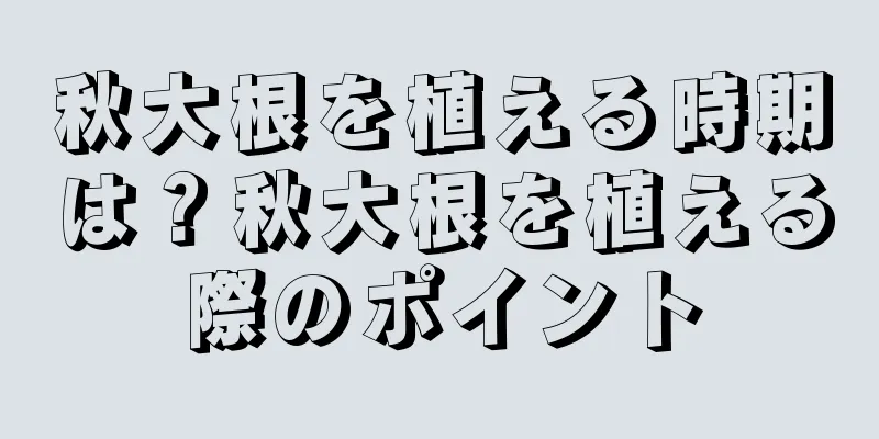 秋大根を植える時期は？秋大根を植える際のポイント