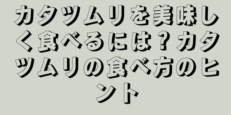 カタツムリを美味しく食べるには？カタツムリの食べ方のヒント
