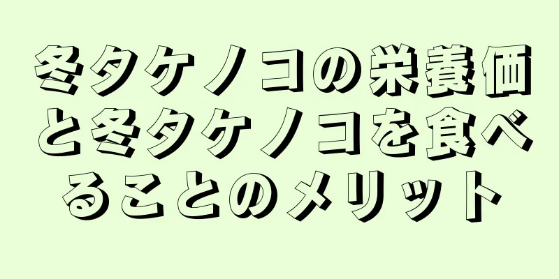 冬タケノコの栄養価と冬タケノコを食べることのメリット