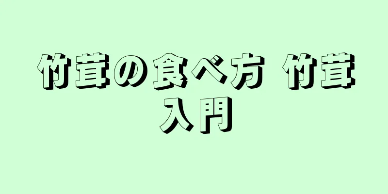 竹茸の食べ方 竹茸入門