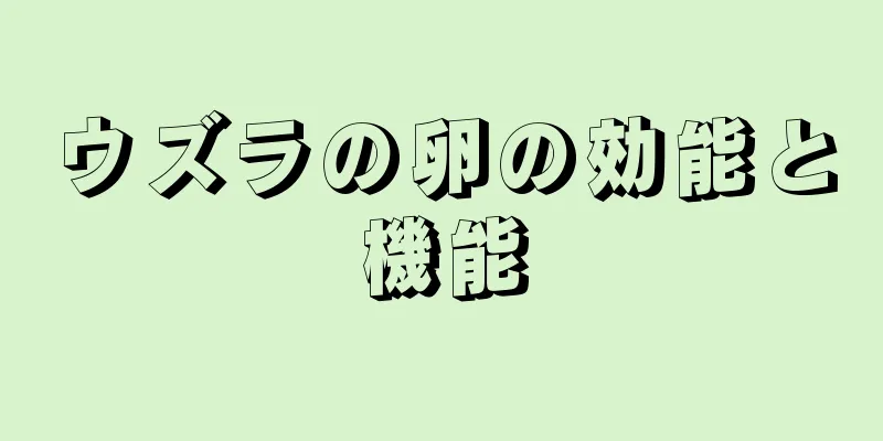 ウズラの卵の効能と機能