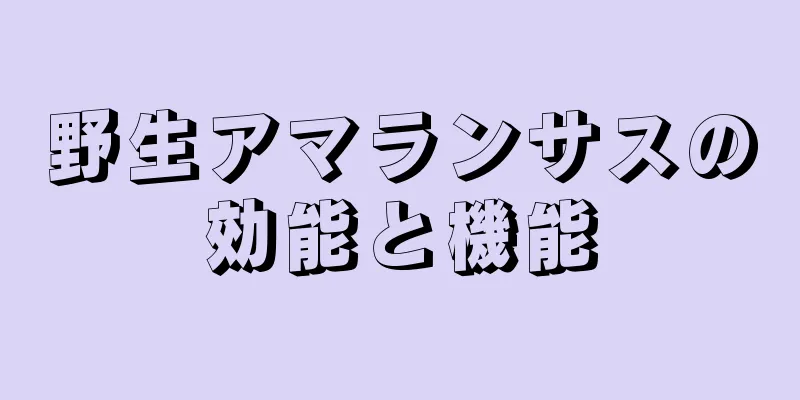 野生アマランサスの効能と機能