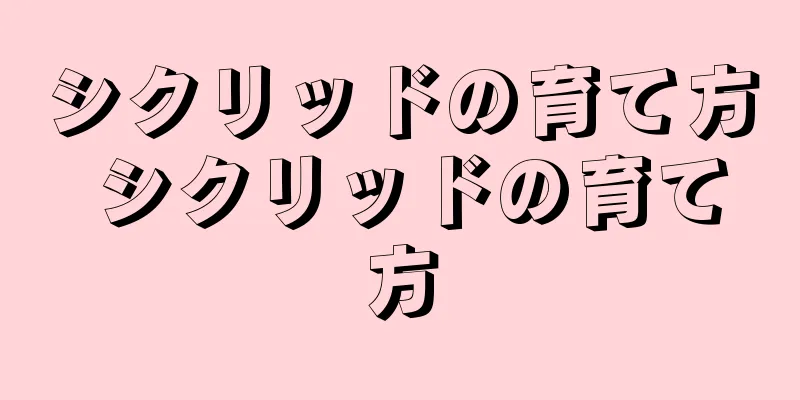 シクリッドの育て方 シクリッドの育て方