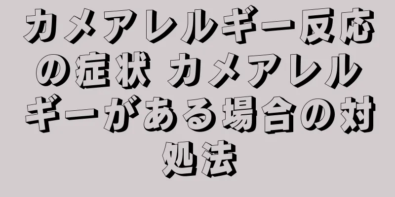 カメアレルギー反応の症状 カメアレルギーがある場合の対処法