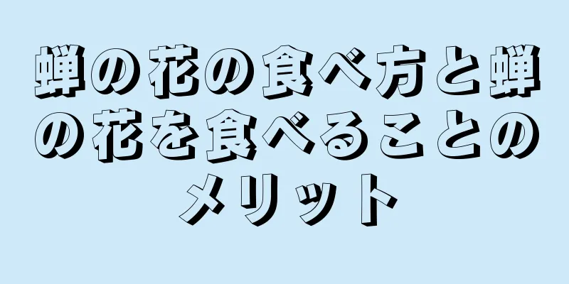 蝉の花の食べ方と蝉の花を食べることのメリット
