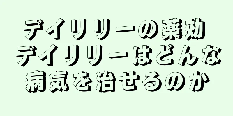 デイリリーの薬効 デイリリーはどんな病気を治せるのか
