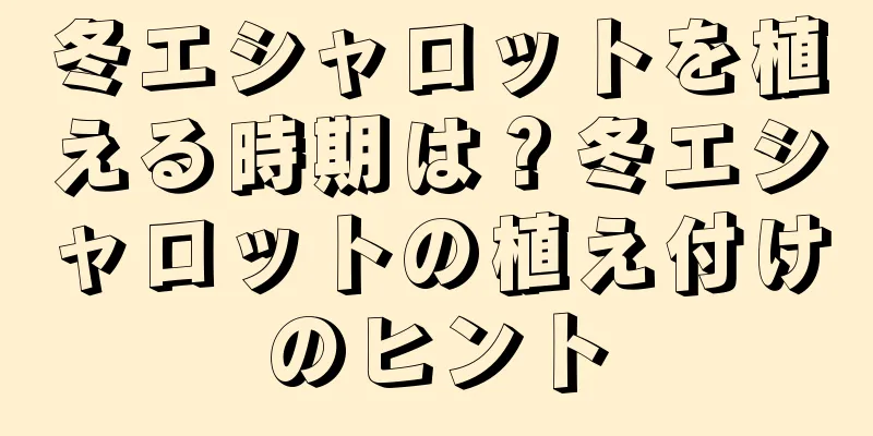 冬エシャロットを植える時期は？冬エシャロットの植え付けのヒント