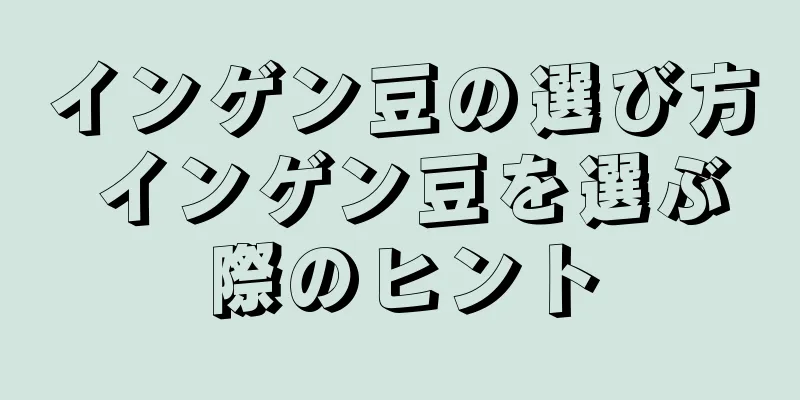 インゲン豆の選び方 インゲン豆を選ぶ際のヒント