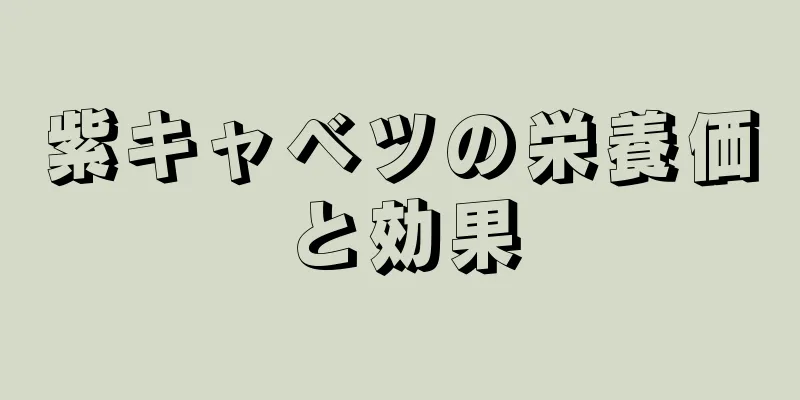紫キャベツの栄養価と効果