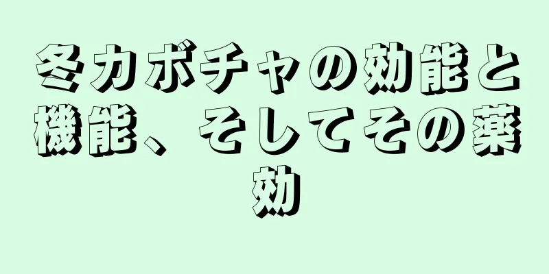 冬カボチャの効能と機能、そしてその薬効