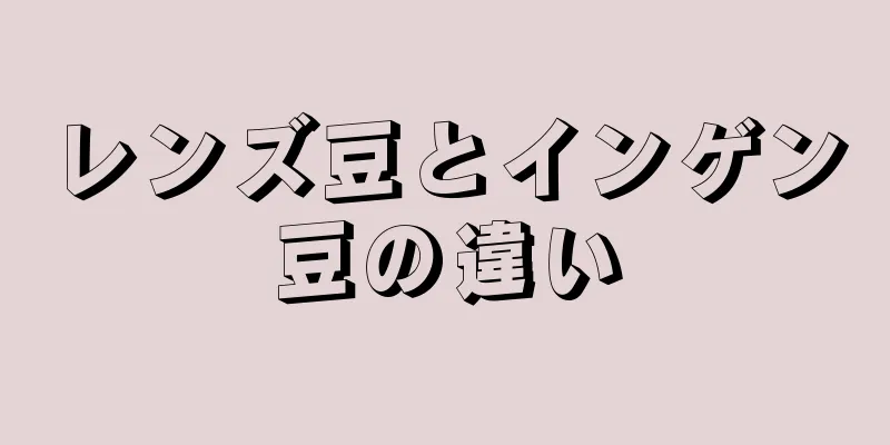 レンズ豆とインゲン豆の違い