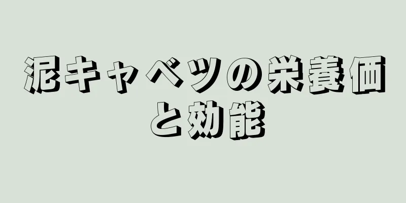 泥キャベツの栄養価と効能