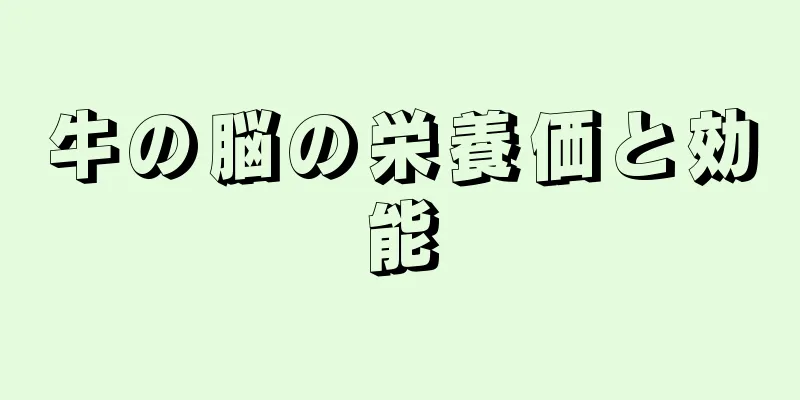 牛の脳の栄養価と効能