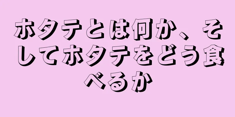 ホタテとは何か、そしてホタテをどう食べるか