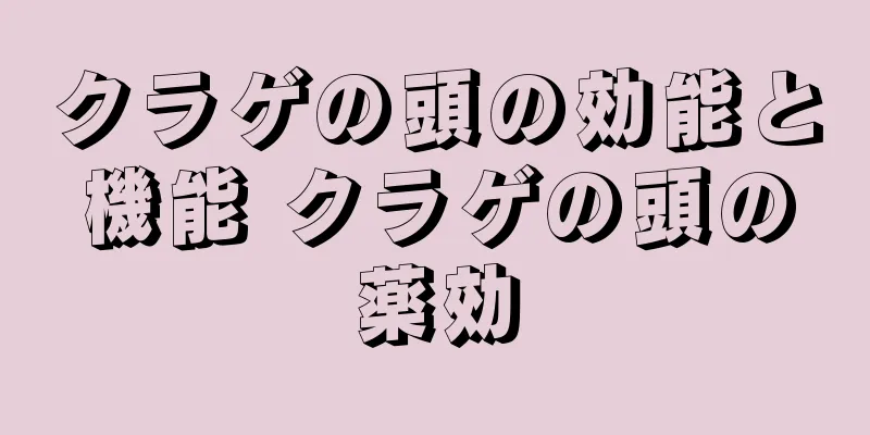 クラゲの頭の効能と機能 クラゲの頭の薬効