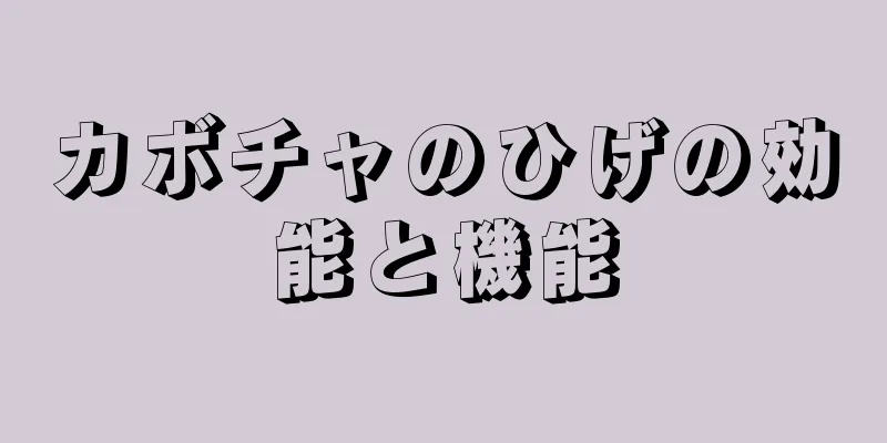 カボチャのひげの効能と機能